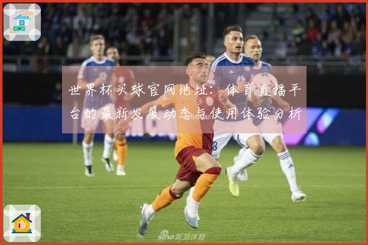 世界杯买球官网地址：体育直播平台的最新发展动态与使用体验分析