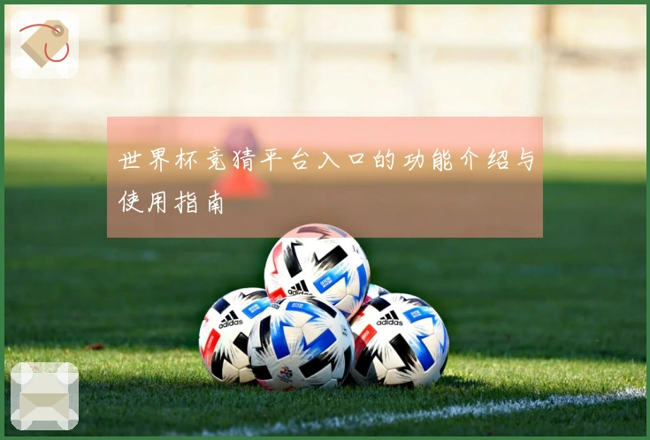 世界杯竞猜平台入口的功能介绍与使用指南