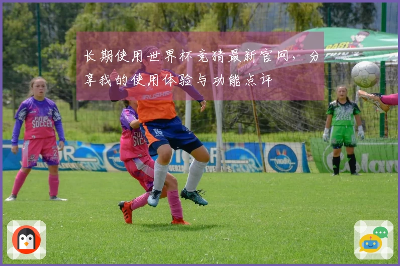 长期使用世界杯竞猜最新官网，分享我的使用体验与功能点评