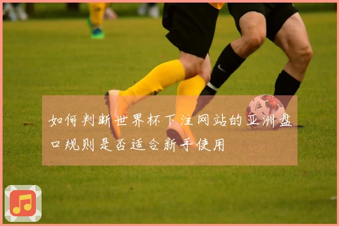 如何判断世界杯下注网站的亚洲盘口规则是否适合新手使用