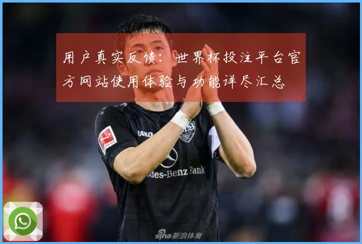 用户真实反馈：世界杯投注平台官方网站使用体验与功能详尽汇总
