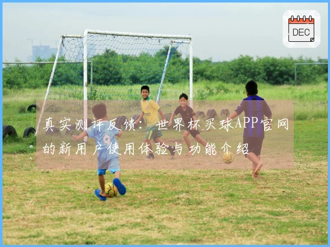 真实测评反馈：世界杯买球APP官网的新用户使用体验与功能介绍