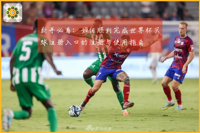 新手必看：如何顺利完成世界杯买球注册入口的注册与使用指南