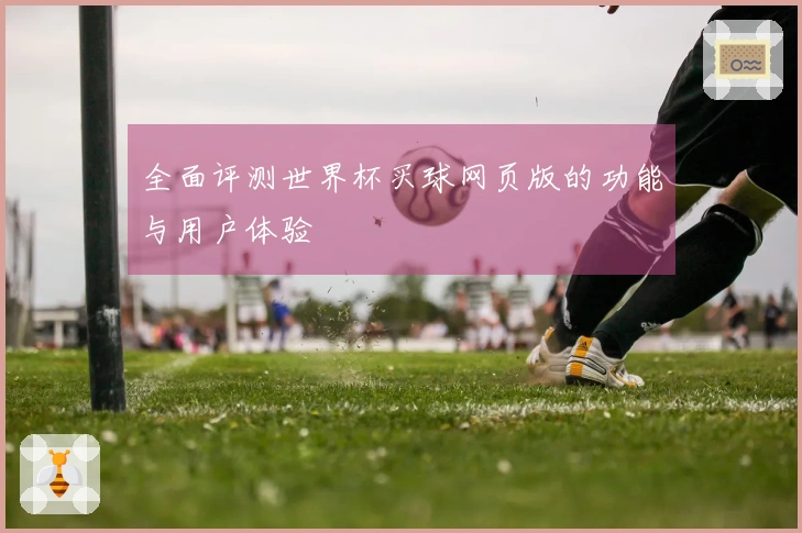 全面评测世界杯买球网页版的功能与用户体验