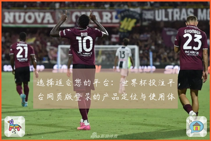 选择适合您的平台：世界杯投注平台网页版登录的产品定位与使用体验分析