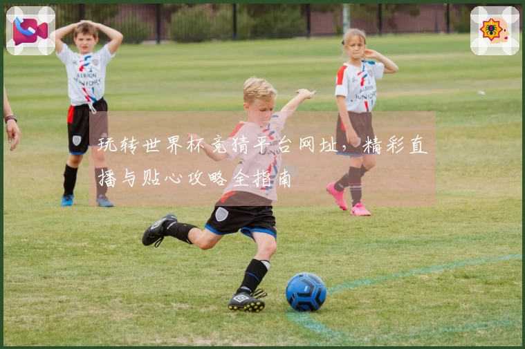 玩转世界杯竞猜平台网址，精彩直播与贴心攻略全指南
