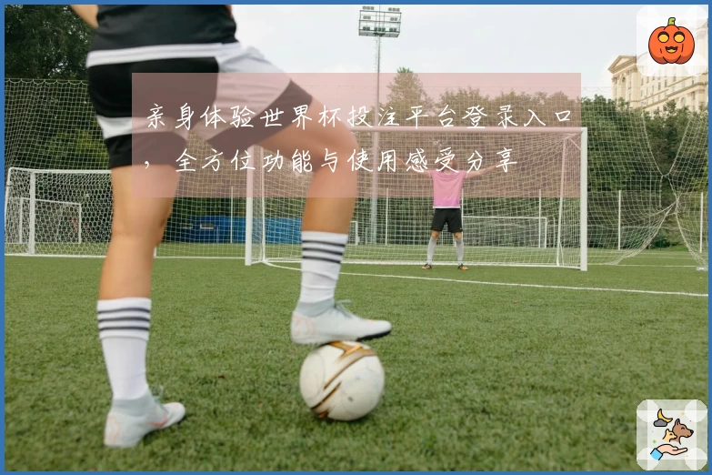 亲身体验世界杯投注平台登录入口，全方位功能与使用感受分享