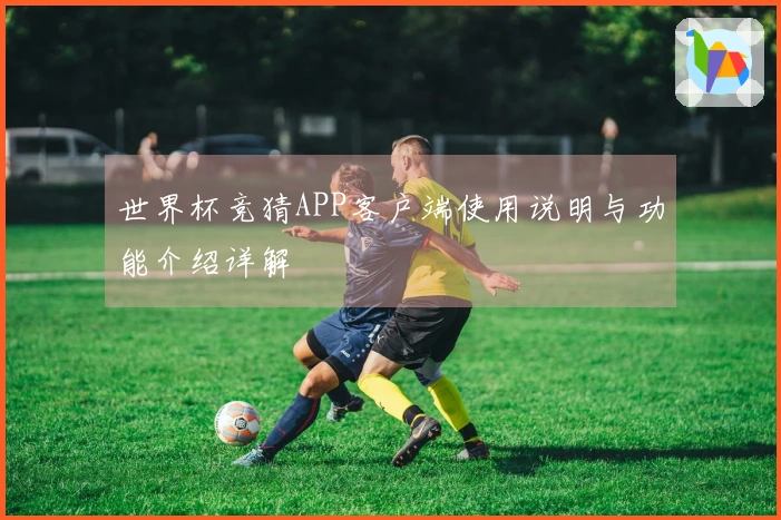 世界杯竞猜APP客户端使用说明与功能介绍详解