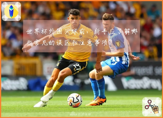 世界杯外围买球前，新手应了解哪些常见的误区和注意事项？