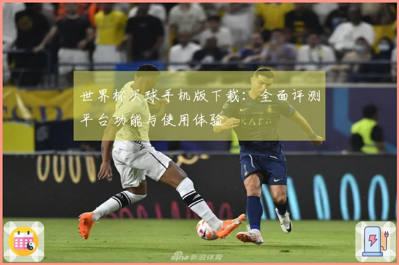 世界杯买球手机版下载：全面评测平台功能与使用体验