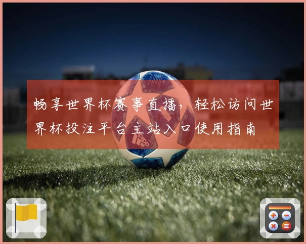 畅享世界杯赛事直播，轻松访问世界杯投注平台主站入口使用指南