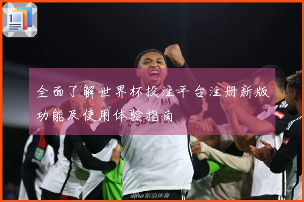 全面了解世界杯投注平台注册新版功能及使用体验指南