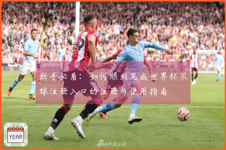 新手必看：如何顺利完成世界杯买球注册入口的注册与使用指南