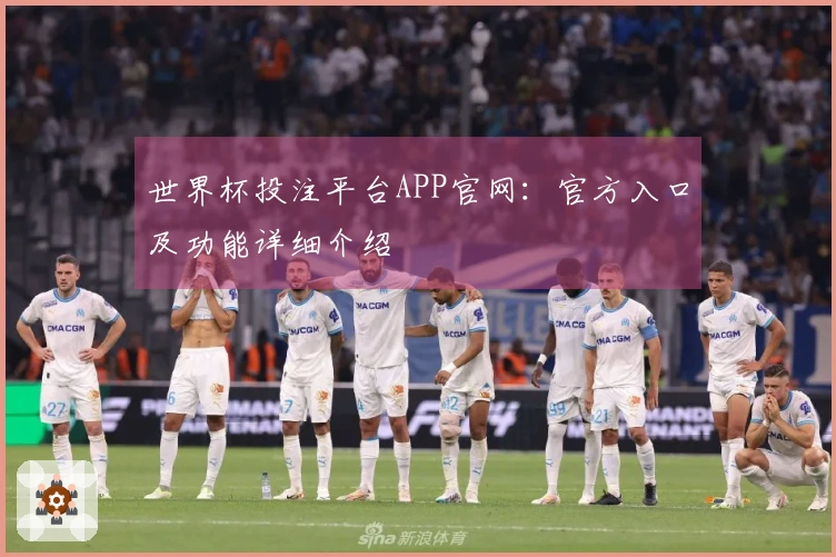 世界杯投注平台APP官网：官方入口及功能详细介绍
