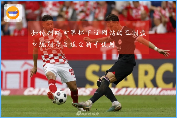 如何判断世界杯下注网站的亚洲盘口规则是否适合新手使用