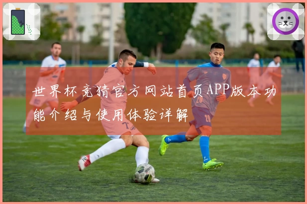 世界杯竞猜官方网站首页APP版本功能介绍与使用体验详解