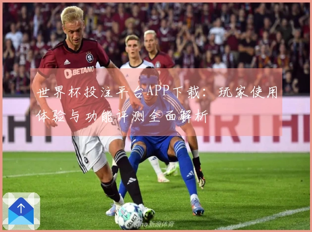 世界杯投注平台APP下载：玩家使用体验与功能评测全面解析