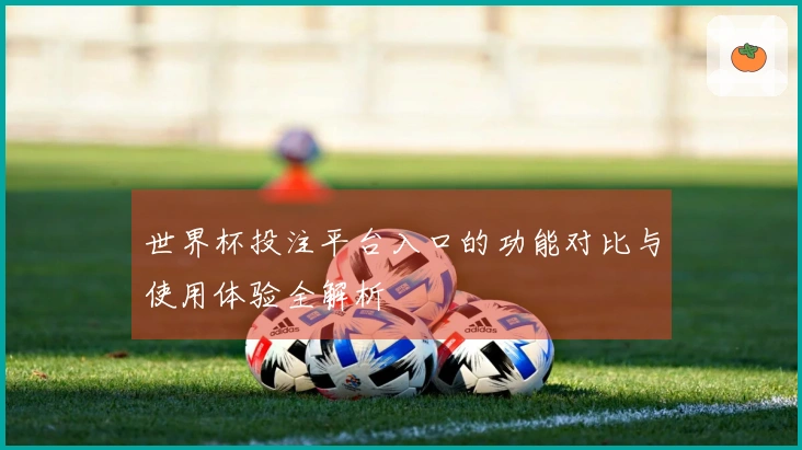 世界杯投注平台入口的功能对比与使用体验全解析